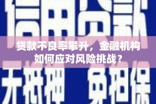 双清贷款不良率攀升，金融机构如何应对风险挑战？