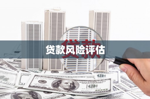 双清贷款风险评估