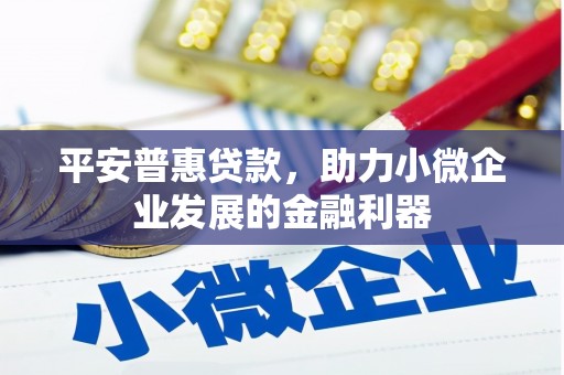 双清平安普惠贷款，助力小微企业发展的金融利器