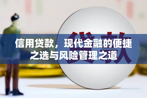 双清信用贷款，现代金融的便捷之选与风险管理之道