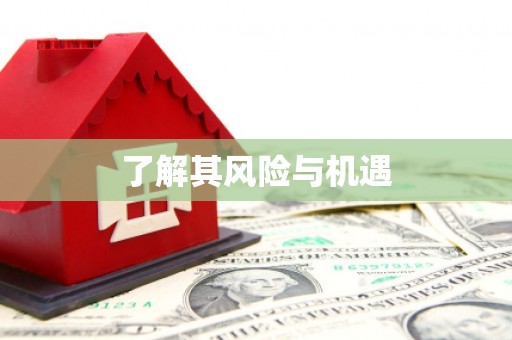 双清了解其风险与机遇