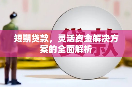 双清短期贷款，灵活资金解决方案的全面解析