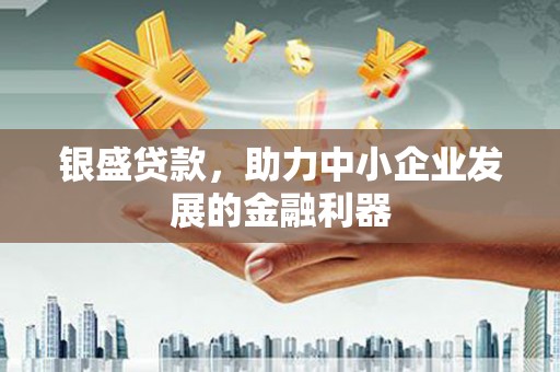 双清银盛贷款，助力中小企业发展的金融利器