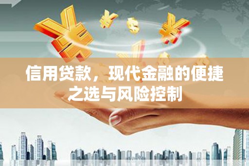 双清信用贷款，现代金融的便捷之选与风险控制
