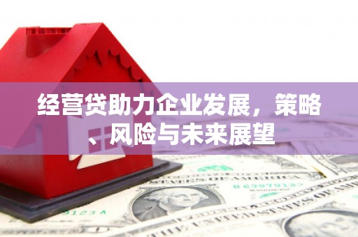 双清经营贷助力企业发展，策略、风险与未来展望