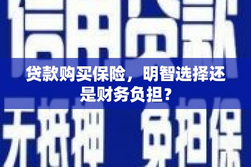 双清贷款购买保险，明智选择还是财务负担？