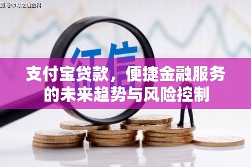 双清支付宝贷款，便捷金融服务的未来趋势与风险控制