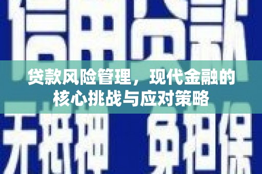 双清贷款风险管理，现代金融的核心挑战与应对策略