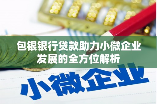 双清包银银行贷款助力小微企业发展的全方位解析