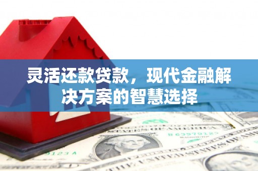 双清灵活还款贷款，现代金融解决方案的智慧选择