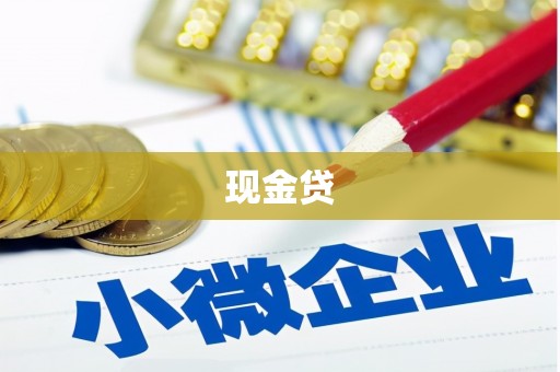 双清现金贷