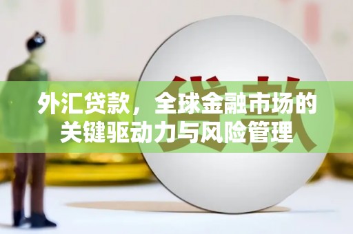 双清外汇贷款，全球金融市场的关键驱动力与风险管理