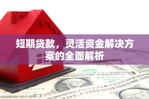 双清短期贷款，灵活资金解决方案的全面解析