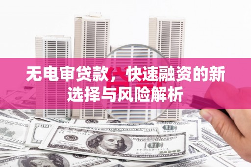 双清无电审贷款，快速融资的新选择与风险解析