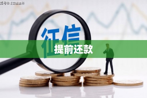双清提前还款