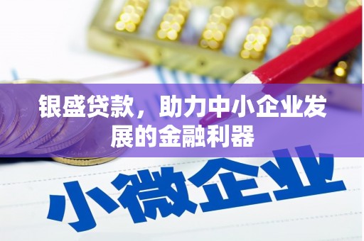 双清银盛贷款，助力中小企业发展的金融利器