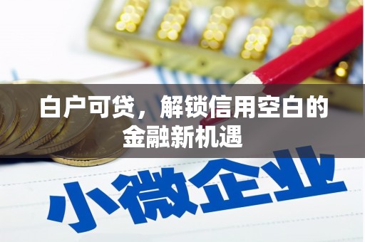 双清白户可贷，解锁信用空白的金融新机遇