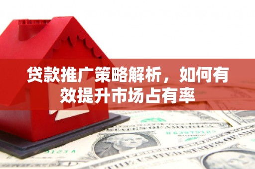 双清贷款推广策略解析，如何有效提升市场占有率