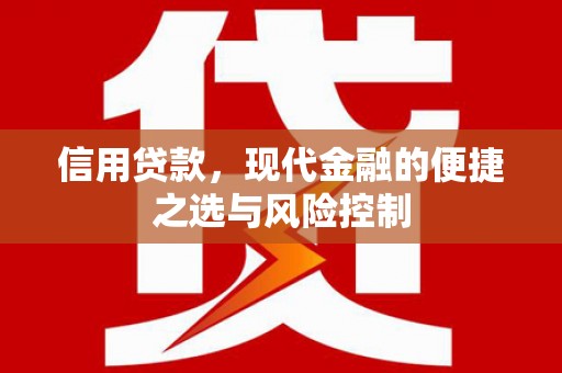 双清信用贷款，现代金融的便捷之选与风险控制