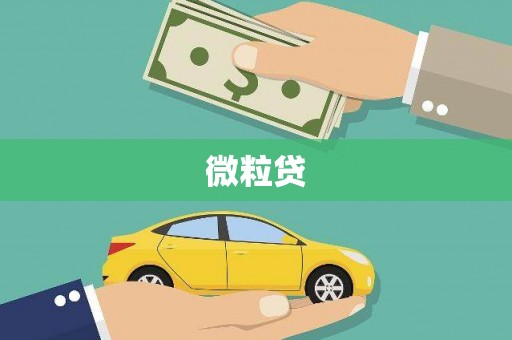 双清微粒贷