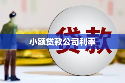 双清小额贷款公司利率