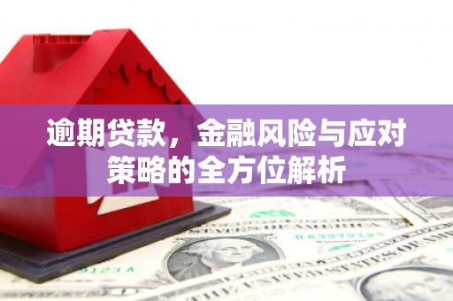 双清逾期贷款，金融风险与应对策略的全方位解析