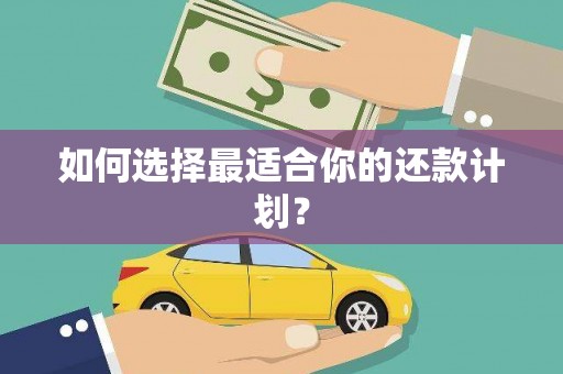 双清如何选择最适合你的还款计划？