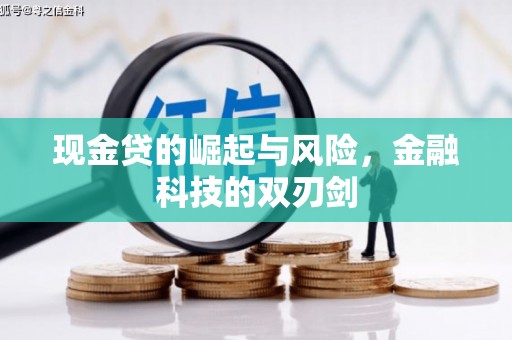 双清现金贷的崛起与风险，金融科技的双刃剑