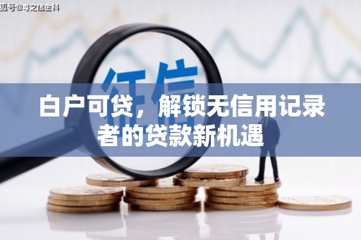 双清白户可贷，解锁无信用记录者的贷款新机遇