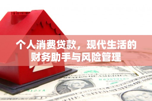 双清个人消费贷款，现代生活的财务助手与风险管理