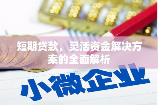 双清短期贷款，灵活资金解决方案的全面解析