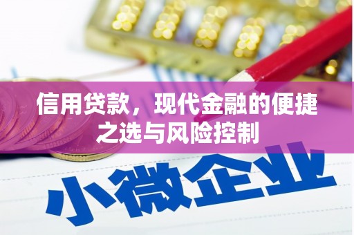 双清信用贷款，现代金融的便捷之选与风险控制