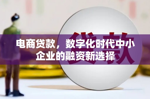 双清电商贷款，数字化时代中小企业的融资新选择