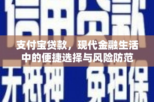双清支付宝贷款，现代金融生活中的便捷选择与风险防范