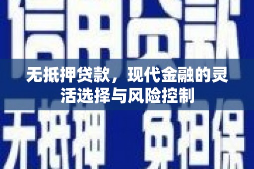双清无抵押贷款，现代金融的灵活选择与风险控制