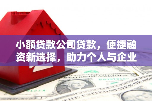 双清小额贷款公司贷款，便捷融资新选择，助力个人与企业成长