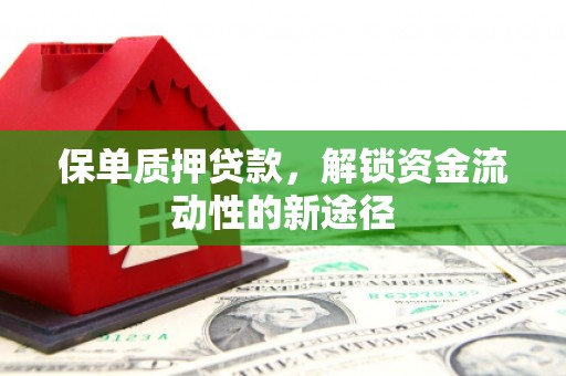 双清保单质押贷款，解锁资金流动性的新途径