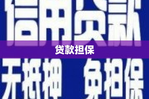 双清贷款担保