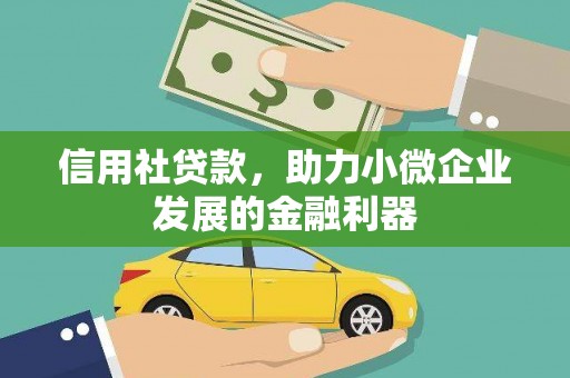 双清信用社贷款，助力小微企业发展的金融利器