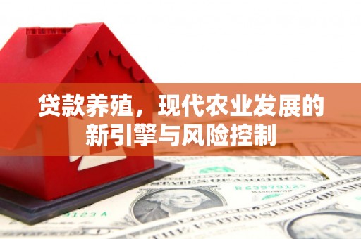 双清贷款养殖，现代农业发展的新引擎与风险控制