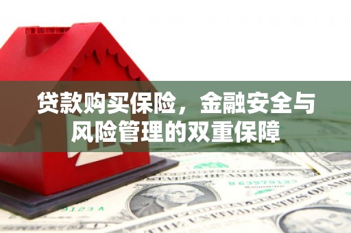 双清贷款购买保险，金融安全与风险管理的双重保障