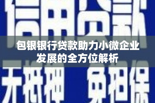 双清包银银行贷款助力小微企业发展的全方位解析
