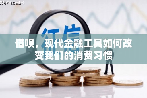 双清借呗，现代金融工具如何改变我们的消费习惯
