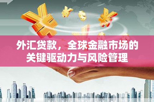 双清外汇贷款，全球金融市场的关键驱动力与风险管理