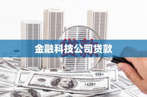双清金融科技公司贷款
