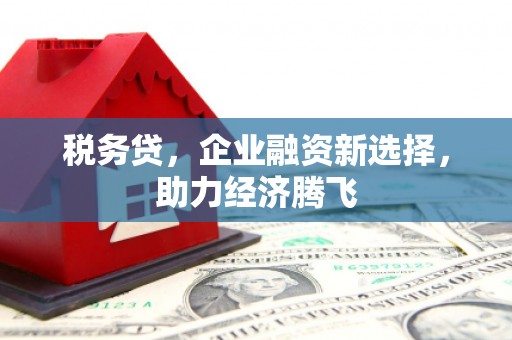 双清税务贷，企业融资新选择，助力经济腾飞