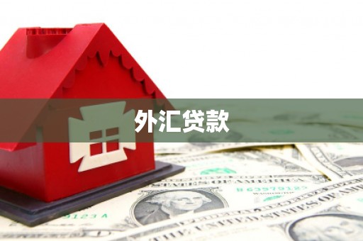 双清外汇贷款