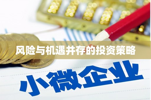 双清风险与机遇并存的投资策略
