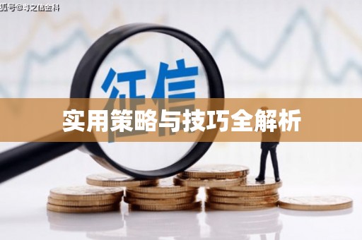 双清实用策略与技巧全解析