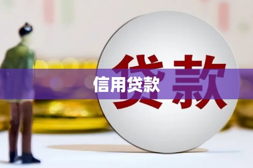 双清信用贷款